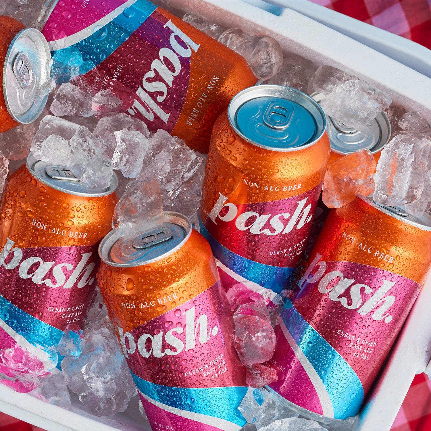Pash Easy Ale 375mL can - non-alcoholic craft beer - NB4PBC boozzero.com