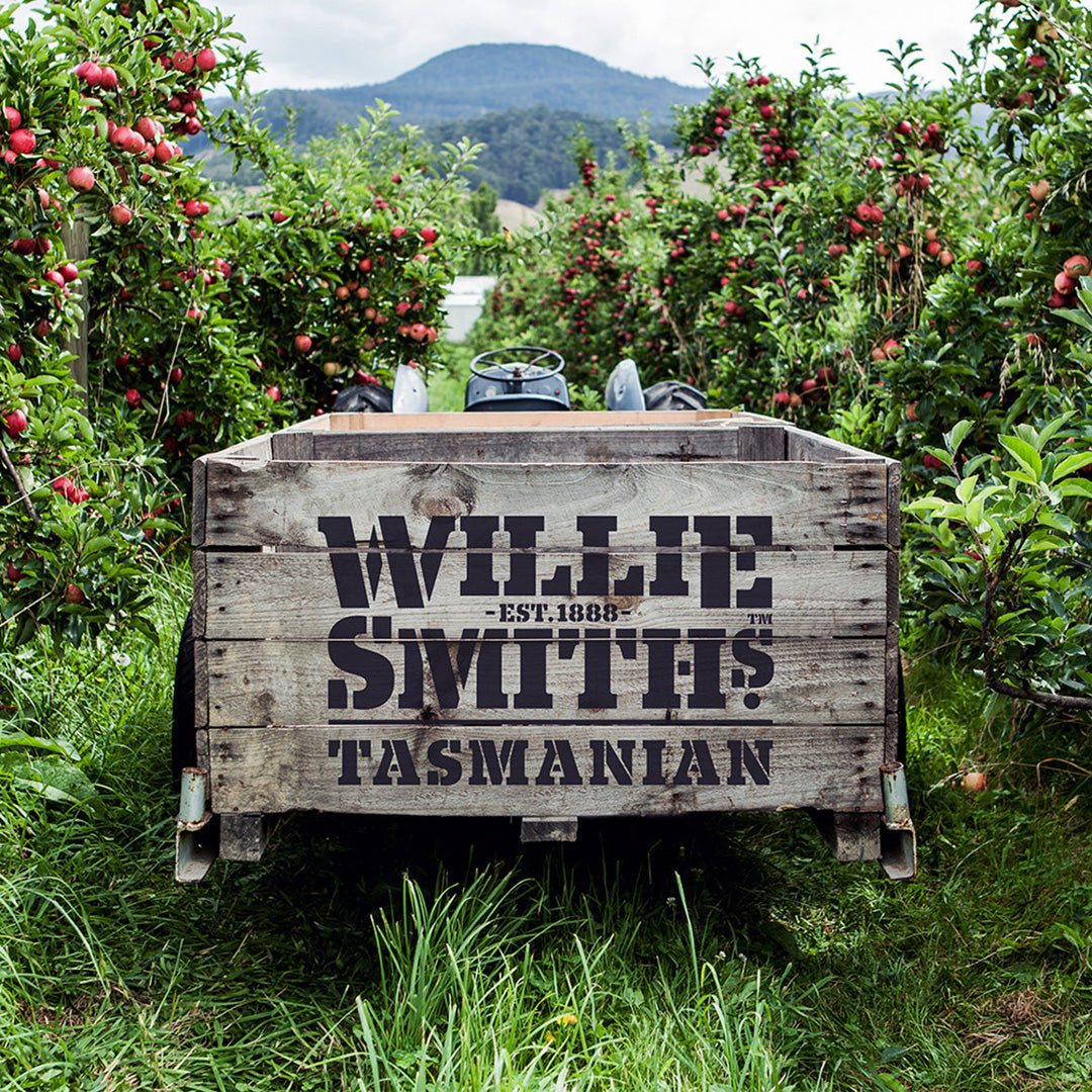 Willie Smiths Tasmanian Non-Alc Apple Cider 355mL can - non-alcoholic cider - NC5WSC boozzero.com